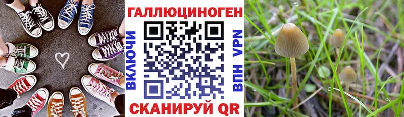 ссылка на мегу вход  наркошоп  Лермонтов  Галлюциногенные грибы GOLDEN TEACHER 